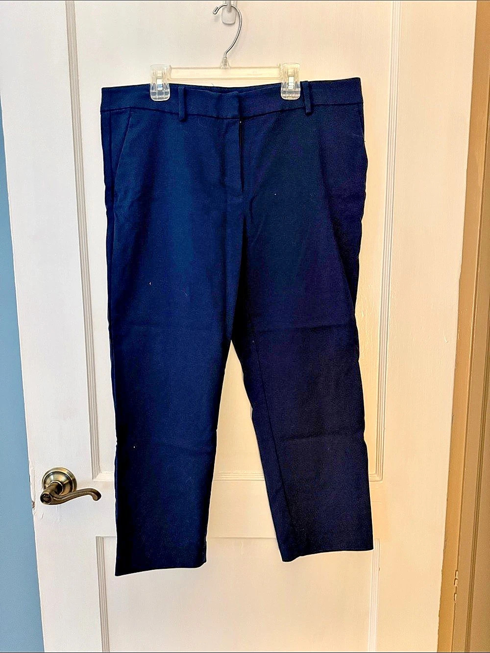 LOFT The Riviera Slim Pants The Cropped Pants in Blue Size 12P